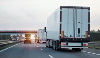 gestión siniestros transitario