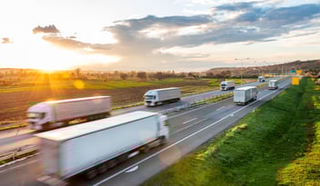 rc profesional transitario